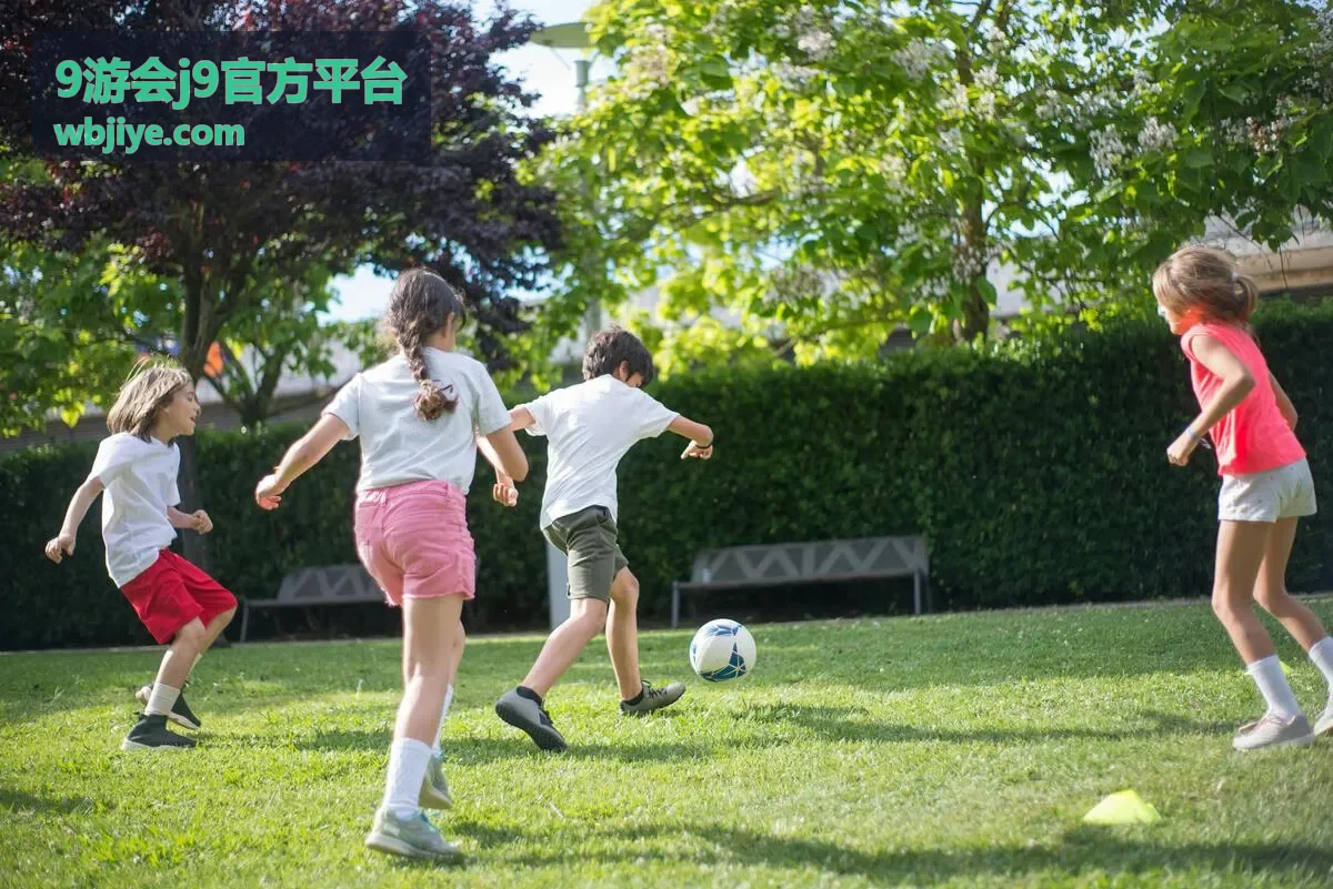 9游会j9官方平台功能分区对比封面